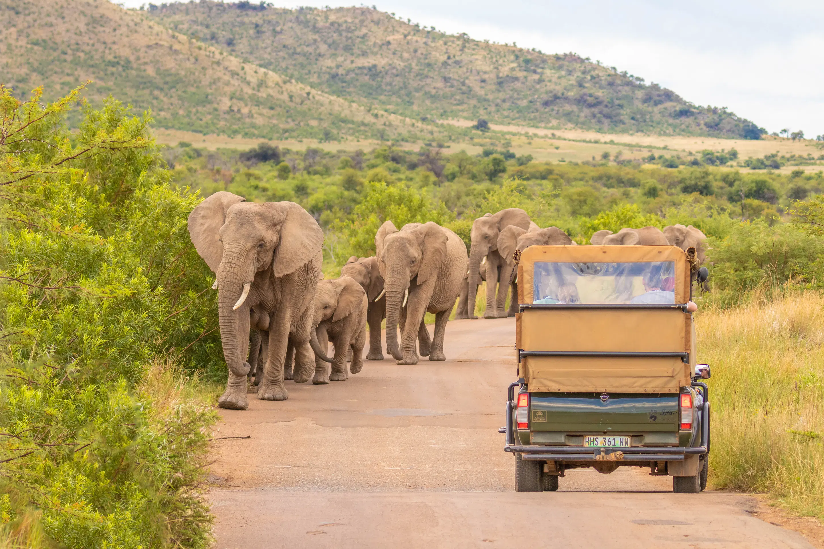 Africa