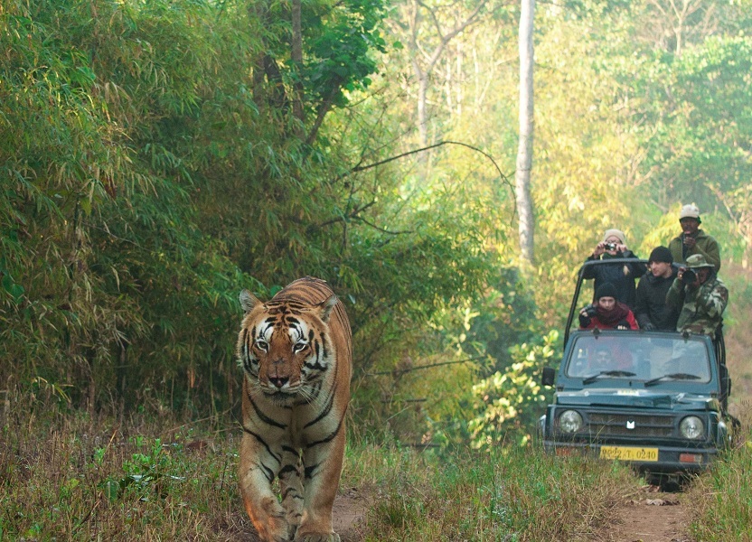 Bandhavgarh National Park