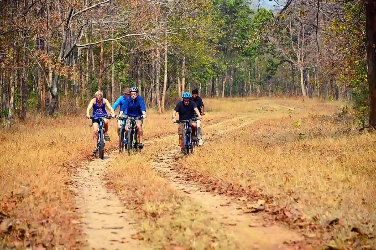 Nature Walks & Cycling Trails