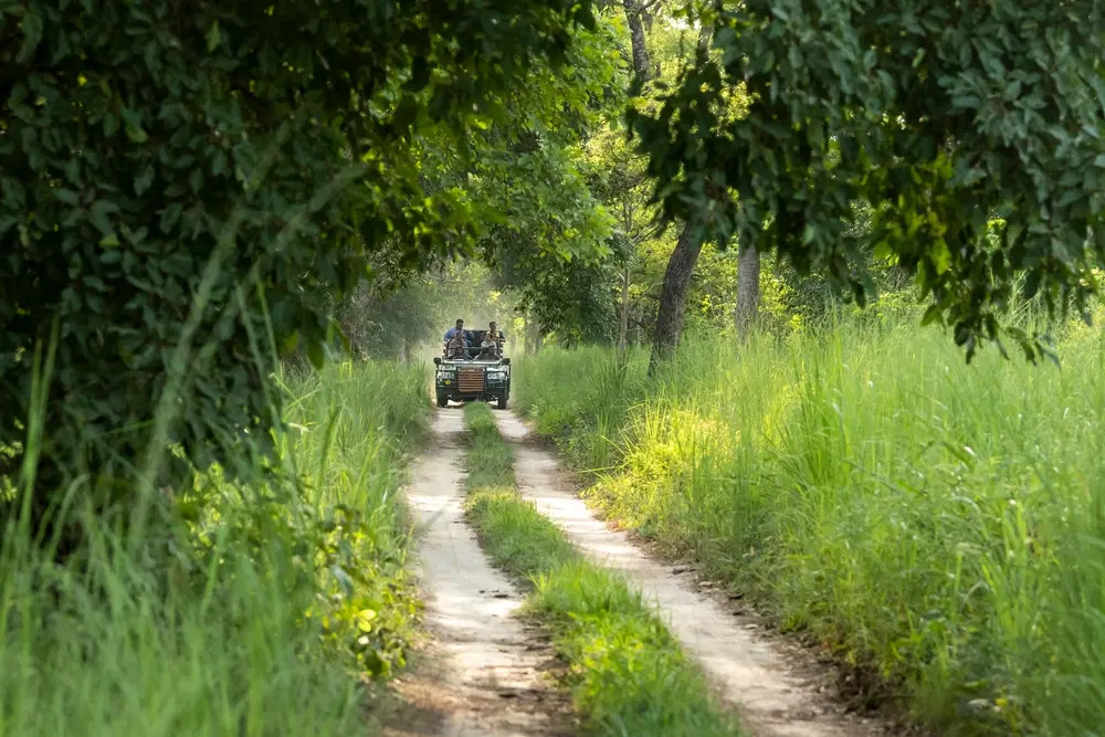 Jeep Safari from Thekkady: