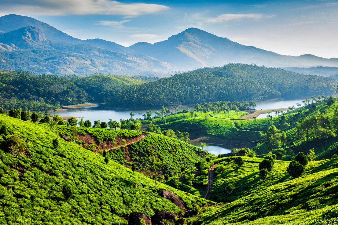 Majestic Munnar | Hills, Tea Gardens & Scenic Views