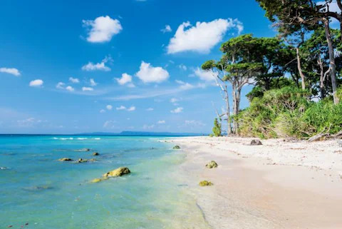 Andaman & Nicobar