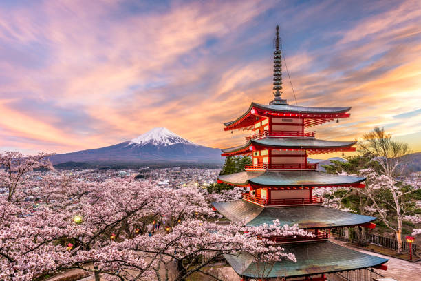 Tour package: Japan Group Tour