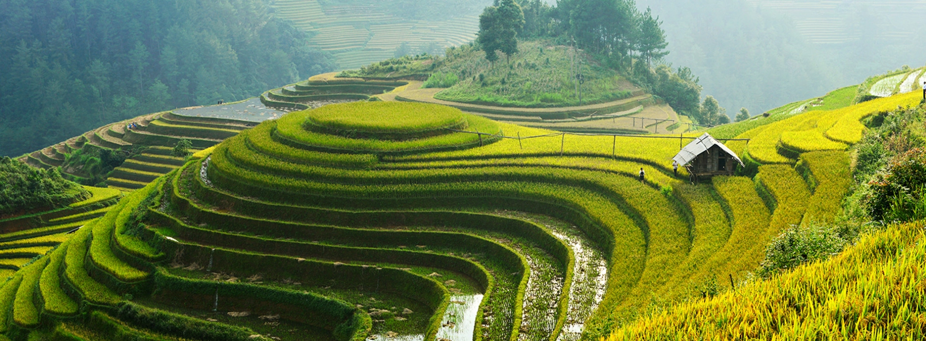Vietnam